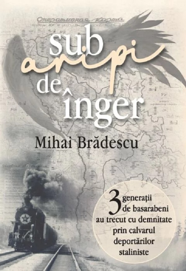 Sub aripi de inger - Mihai Bradescu