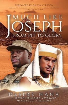 Much Like Joseph: From Pit to Glory - Desire Nana