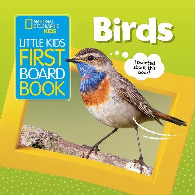 Little Kids First Board Book: Birds - Ruth Musgrave