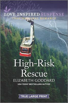 High-Risk Rescue - Elizabeth Goddard