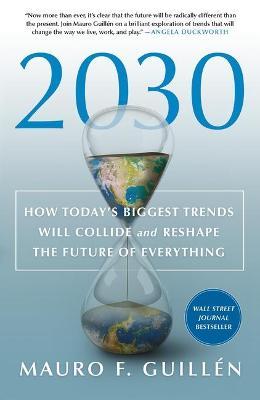 2030: How Today's Biggest Trends Will Collide and Reshape the Future of Everything - Mauro F. Guillen