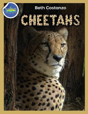Cheetah Activity Workbook ages 4-8 - Beth Costanzo