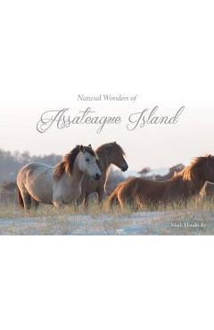 Poza produsului Natural Wonders of Assateague Island - Mark Hendricks