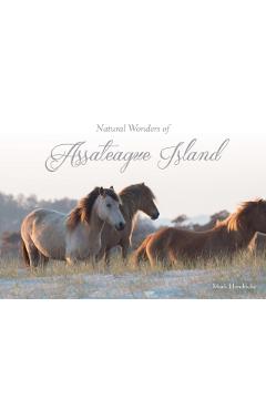 Natural Wonders of Assateague Island - Mark Hendricks