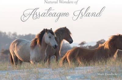 Natural Wonders of Assateague Island - Mark Hendricks