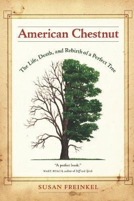 American Chestnut: The Life, Death, and Rebirth of a Perfect Tree - Susan Freinkel