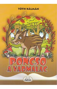 Poza produsului Poncso a vadmalac - Toth Kalman