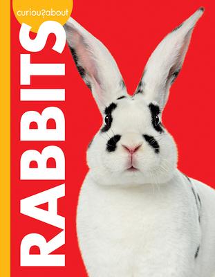 Curious about Rabbits - Jill Sherman