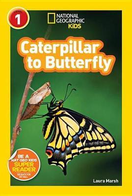 Caterpillar to Butterfly - Laura Marsh