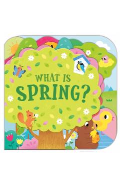 What Is Spring? - Sonali Fry