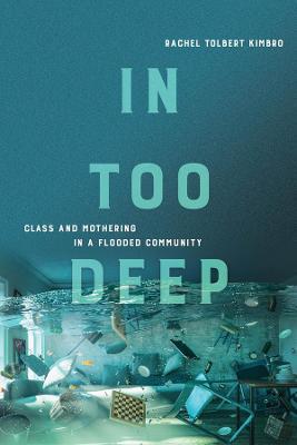 In Too Deep: Class and Mothering in a Flooded Community - Rachel Kimbro