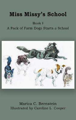 Miss Missy's School: Book I: A Pack of Farm Dogs Starts a School - Marica C. Bernstein