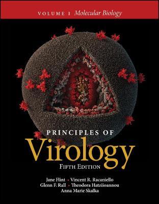 Principles of Virology, Volume 1: Molecular Biology - Jane Flint