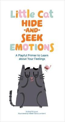 Little Cat Hide-And-Seek Emotions: A Playful Primer to Learn about Your Feelings - Audrey Bouquet