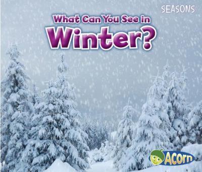 What Can You See in Winter? - Sian Smith