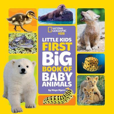 Little Kids First Big Book of Baby Animals - Maya Myers