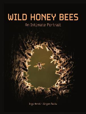 Wild Honey Bees: An Intimate Portrait - Ingo Arndt