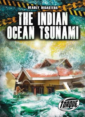 The Indian Ocean Tsunami - Thomas K. Adamson