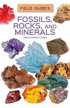 Fossils, Rocks, and Minerals - Marcia Amidon Lusted