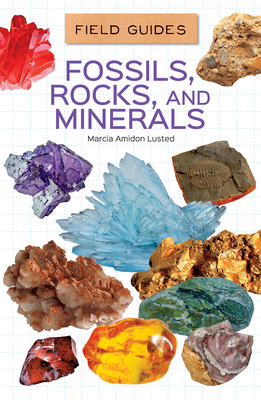 Fossils, Rocks, and Minerals - Marcia Amidon Lusted