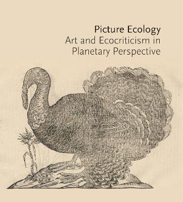 Picture Ecology: Art and Ecocriticism in Planetary Perspective - Karl Kusserow