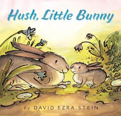 Hush, Little Bunny Board Book - David Ezra Stein