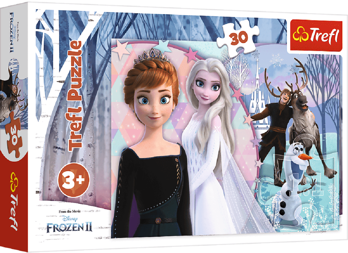 Puzzle 30. Magical Frozen