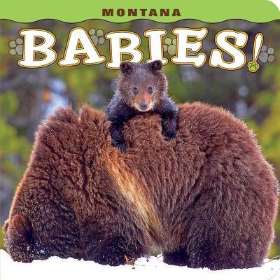 Montana Babies! - Steph Lehmann