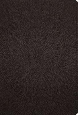 ESV Large Print Compact Bible (Buffalo Leather, Deep Brown) - 