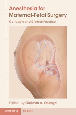 Anesthesia for Maternal-Fetal Surgery: Concepts and Clinical Practice - Olutoyin A. Olutoye