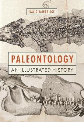 Paleontology: An Illustrated History - David Bainbridge