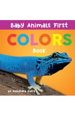 Baby Animals First Colors Book: Volume 3 - Alexandra Claire