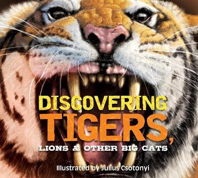 Discovering Tigers, Lions & Other Cats: The Ultimate Handbook to the Big Cats of the World - Julius Csotonyi