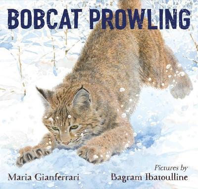 Bobcat Prowling - Maria Gianferrari