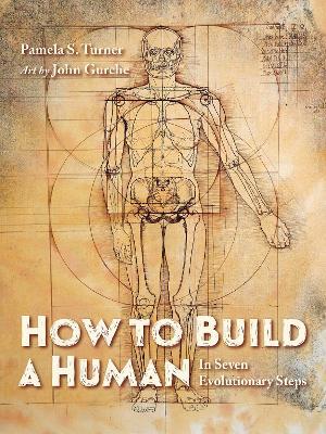 How to Build a Human: In Seven Evolutionary Steps - Pamela S. Turner