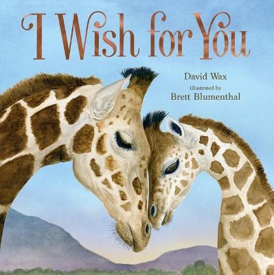 I Wish for You - David Wax