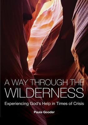 A Way Through the Wilderness: Experiencing God's Help in Times of Crisis - Paula Gooder