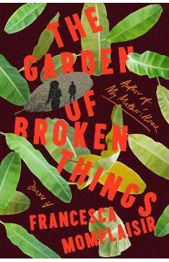 Coperta cărții 'The Garden of Broken Things - Francesca Momplaisir'