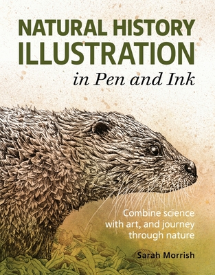 Natural History Illustration in Pen and Ink - Sarah Morrish