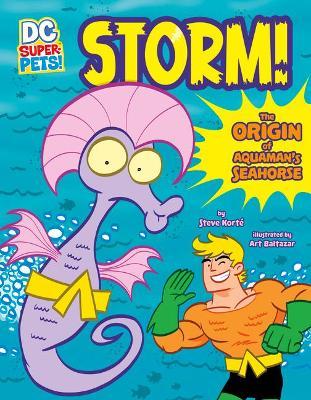 Storm!: The Origin of Aquaman's Seahorse - Steve Korté