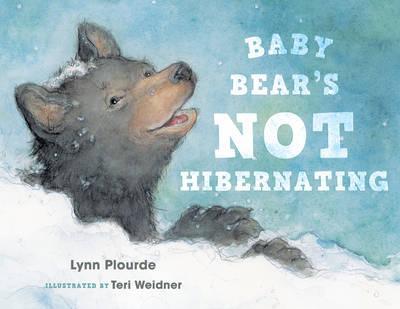 Baby Bear's Not Hibernating - Lynn Plourde