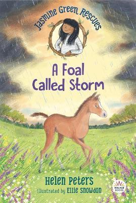 Jasmine Green Rescues: A Foal Called Storm - Helen Peters