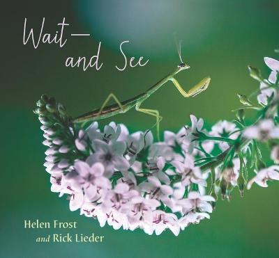 Wait and See - Helen Frost