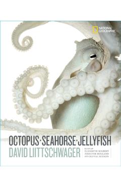 Octopus, Seahorse, Jellyfish - David Liittschwager