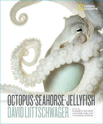 Octopus, Seahorse, Jellyfish - David Liittschwager