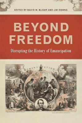 Beyond Freedom: Disrupting the History of Emancipation - David W. Blight