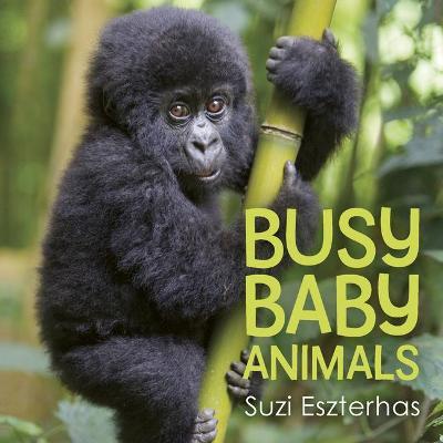 Busy Baby Animals - Suzi Eszterhas