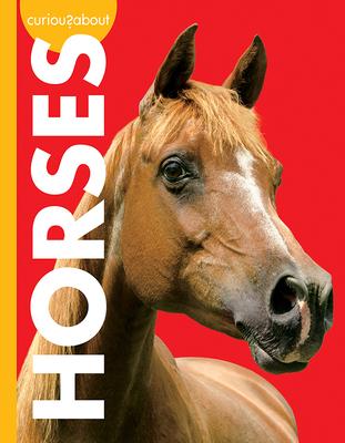 Curious about Horses - Jill Sherman