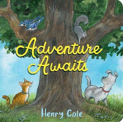 Adventure Awaits - Henry Cole