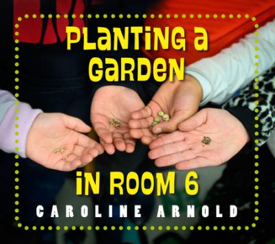 Planting a Garden in Room 6: From Seeds to Salad - Caroline Arnold
